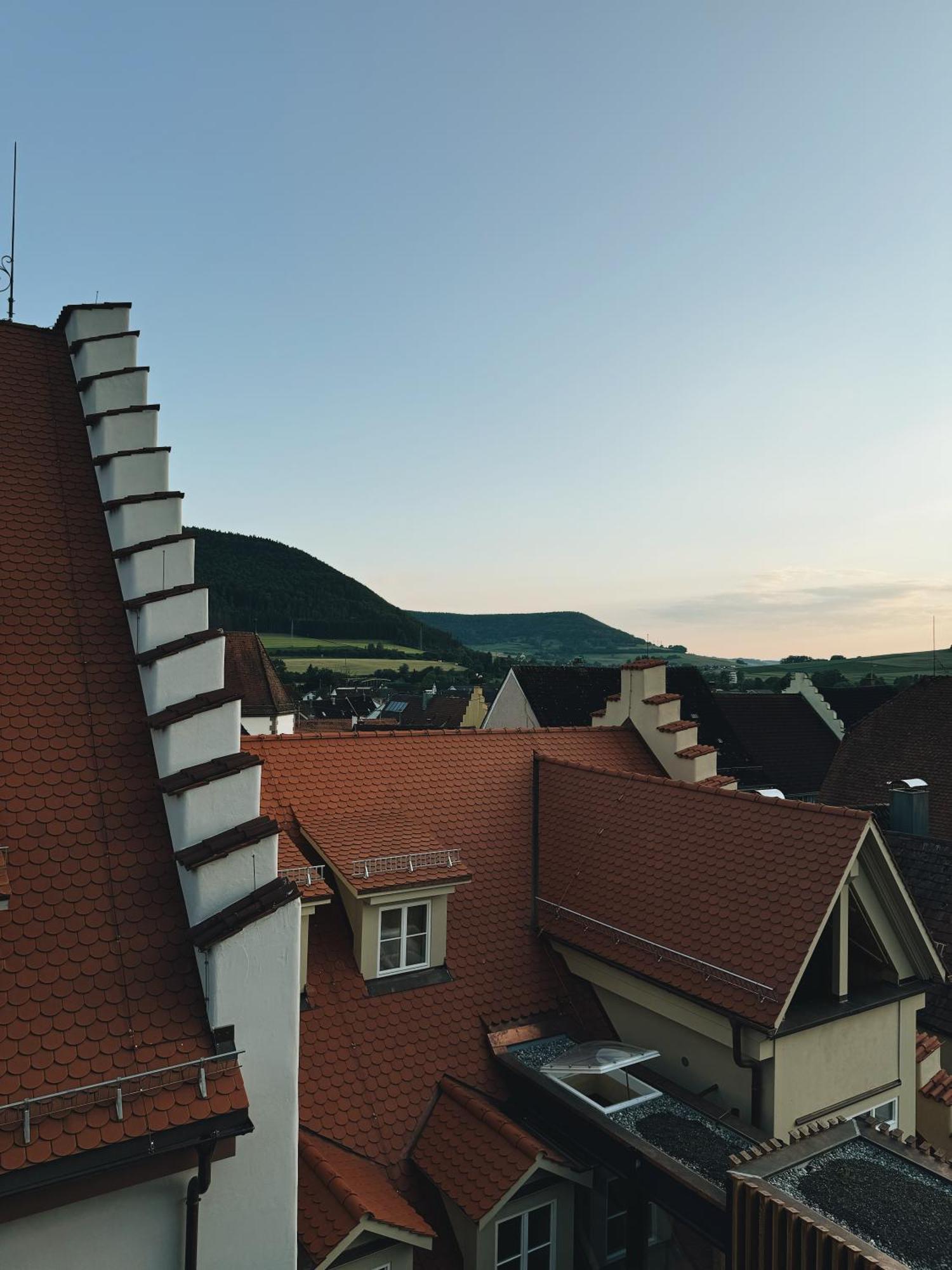 1280 Krone Geisingen Esterno foto