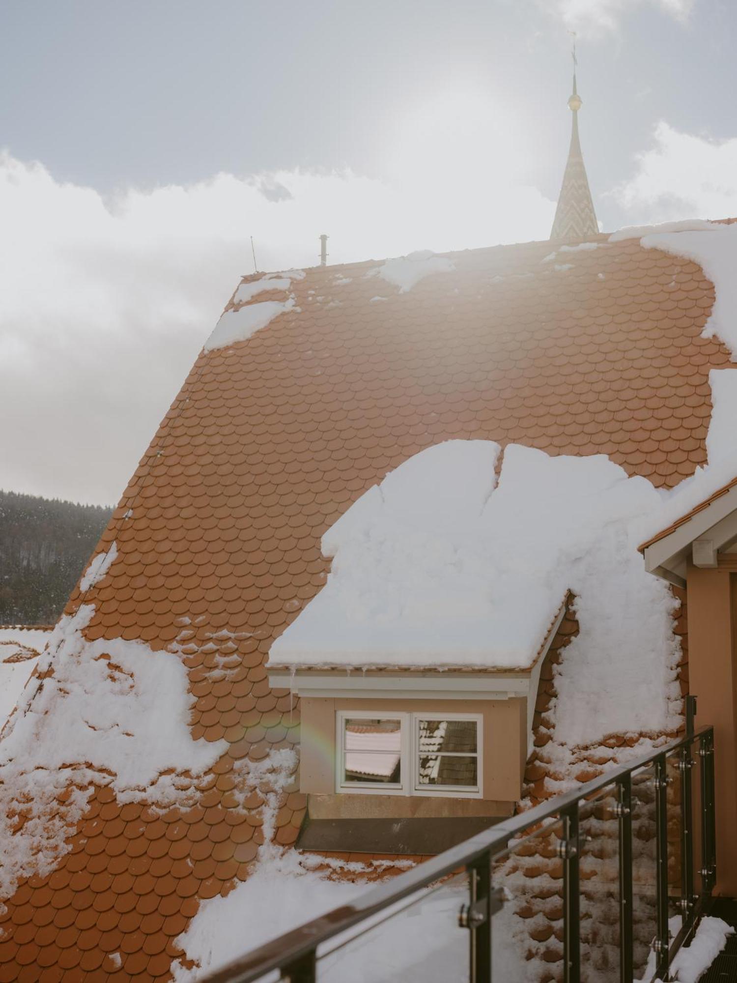 1280 Krone Geisingen Esterno foto